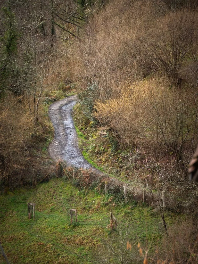 sendero